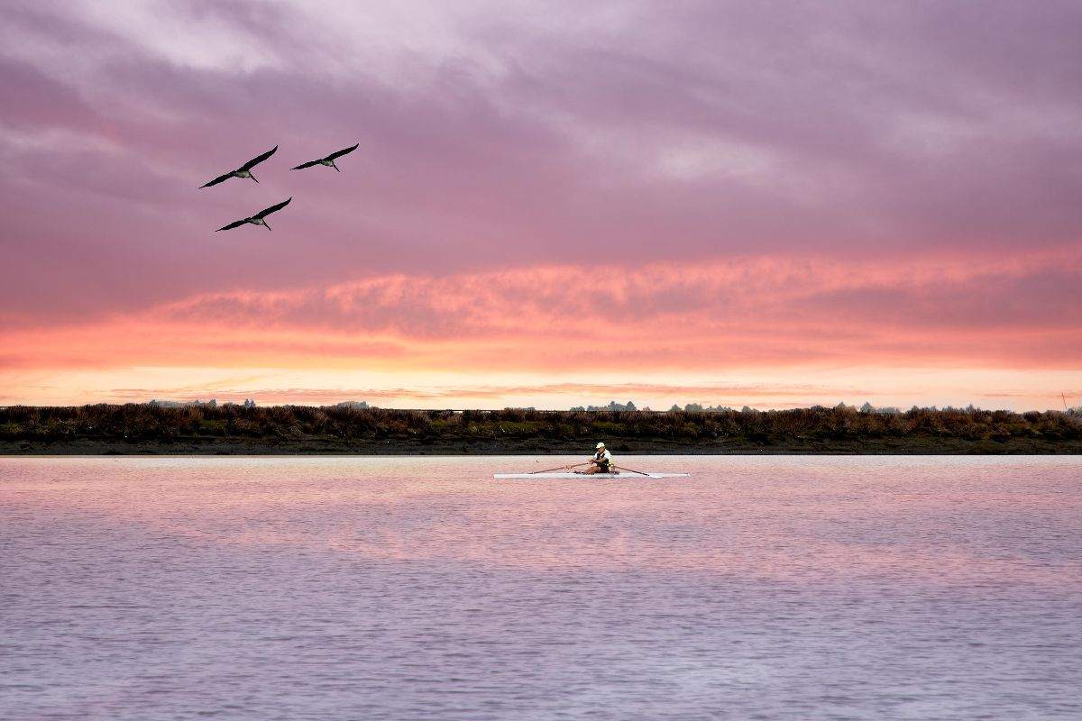 Early morning at Bair Island, near Redwood City, CA.